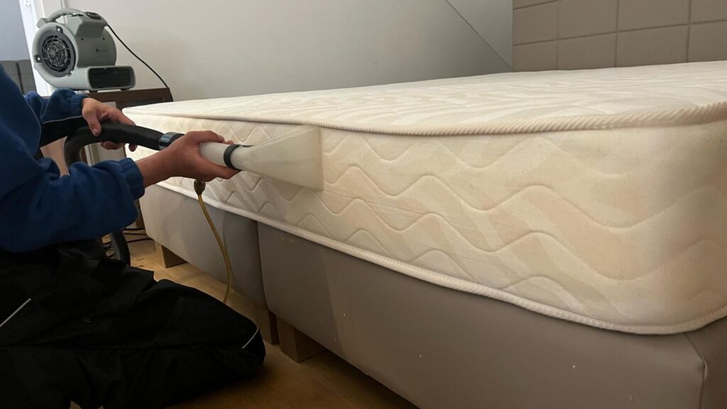 Uklidcisteni.cz-cisteni-calouneni-5